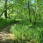 Hullám Balatonmáriafürdő