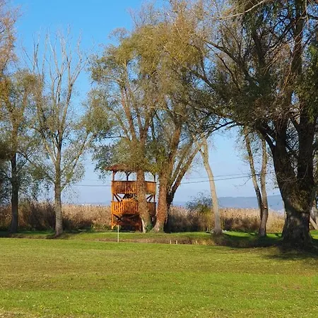 Hullam Balatonmáriafürdő