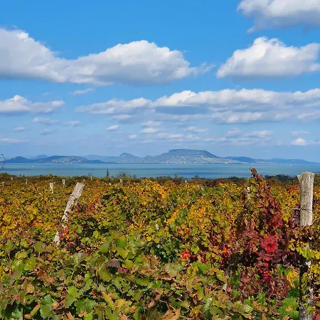 Hullam 4* Балатонмариафюрдё