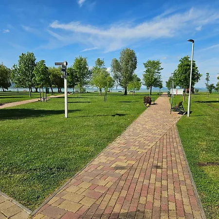 Hullám