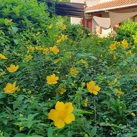 Hullam Балатонмариафюрдё