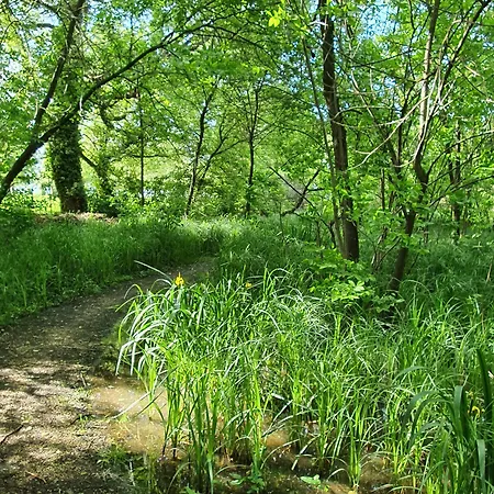 Hullam Balatonmáriafürdő