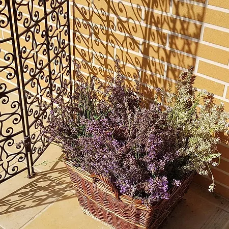 Hullam Bed and Breakfast