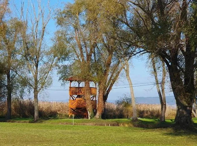 Hullam Balatonmáriafürdő