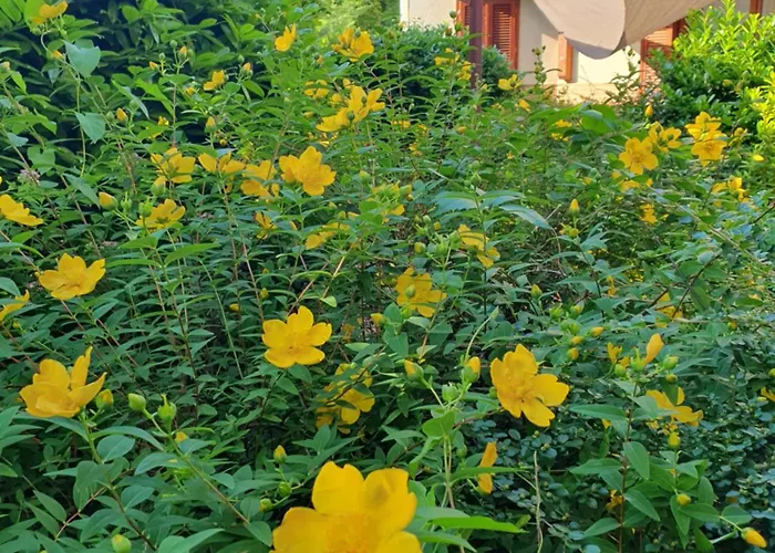 Hullam Balatonmáriafürdő