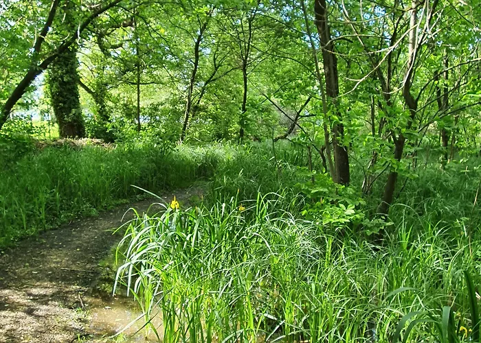 Hullam Balatonmáriafürdő