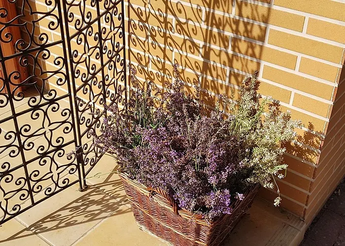 Hullam Bed & Breakfast